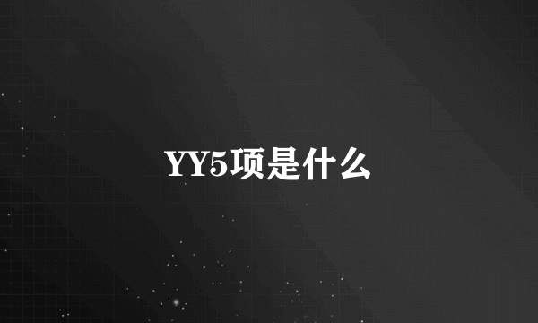 YY5项是什么