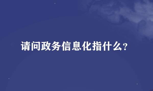 请问政务信息化指什么？