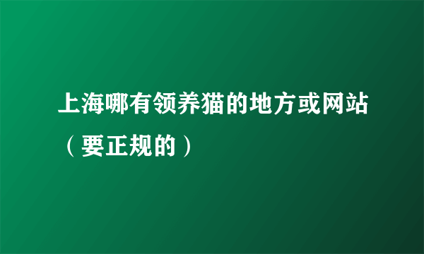 上海哪有领养猫的地方或网站（要正规的）