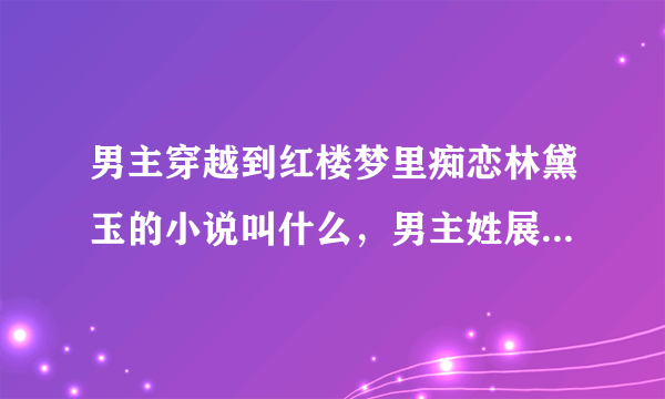 男主穿越到红楼梦里痴恋林黛玉的小说叫什么，男主姓展，是个将军。