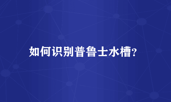 如何识别普鲁士水槽？