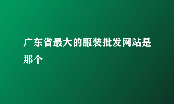 广东省最大的服装批发网站是那个