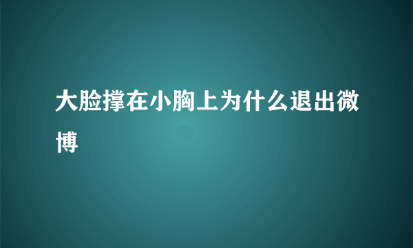 大脸撑在小胸上为什么退出微博