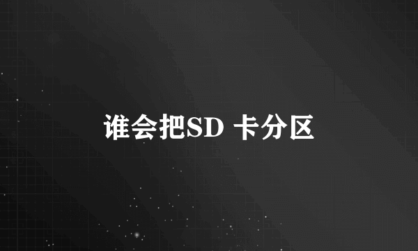 谁会把SD 卡分区