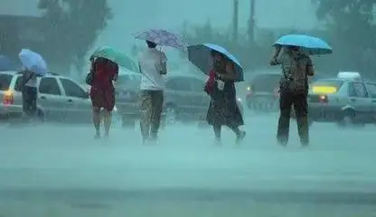 上海遭遇8级大风加暴雨，造成的经济损失情况如何？