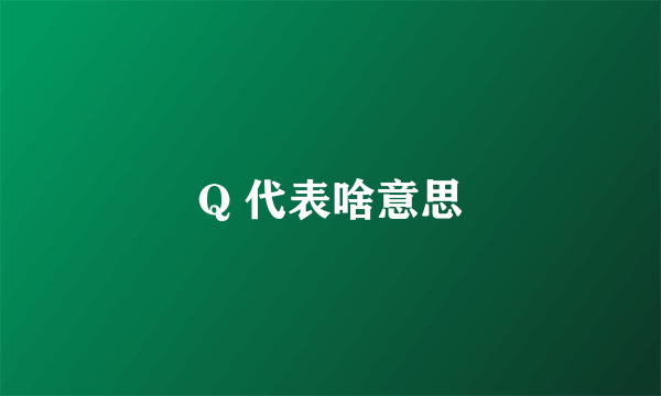 Q 代表啥意思