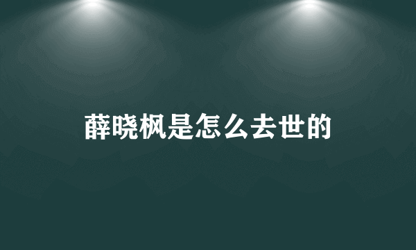 薛晓枫是怎么去世的