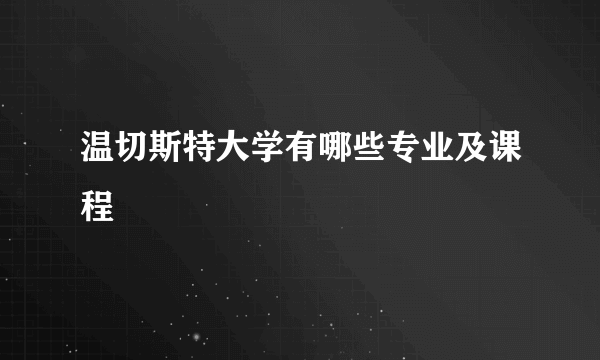 温切斯特大学有哪些专业及课程