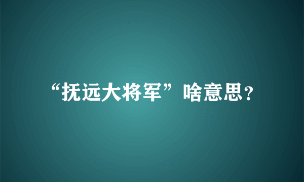 “抚远大将军”啥意思？