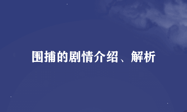 围捕的剧情介绍、解析