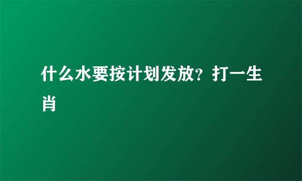 什么水要按计划发放？打一生肖