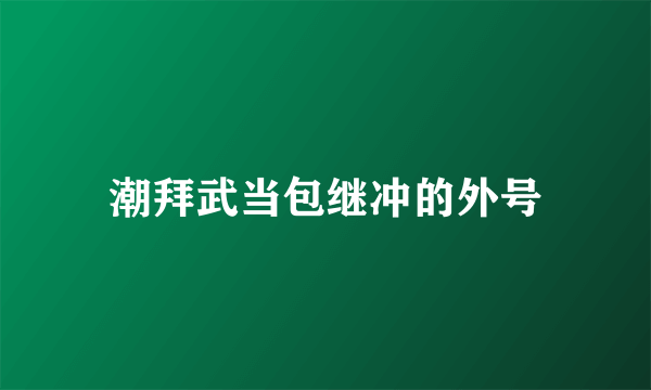 潮拜武当包继冲的外号