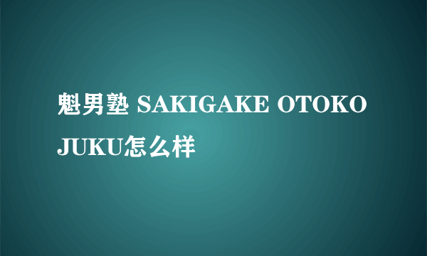 魁男塾 SAKIGAKE OTOKOJUKU怎么样