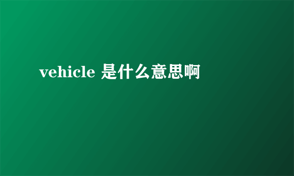 vehicle 是什么意思啊