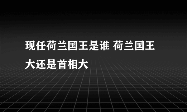 现任荷兰国王是谁 荷兰国王大还是首相大