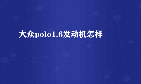 大众polo1.6发动机怎样