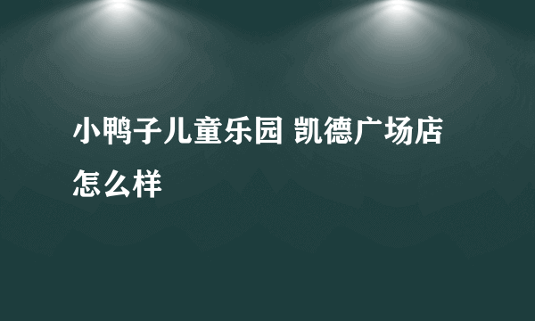 小鸭子儿童乐园 凯德广场店怎么样