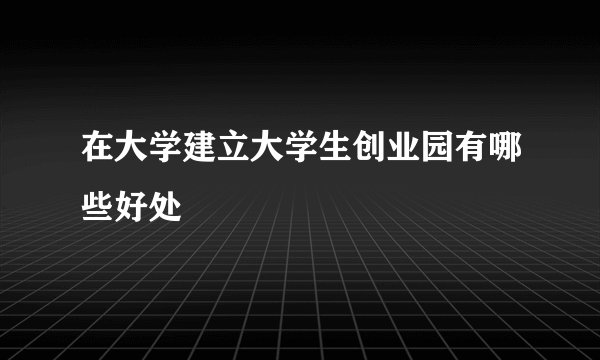 在大学建立大学生创业园有哪些好处