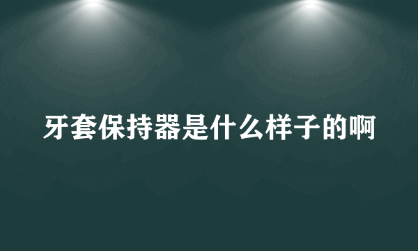 牙套保持器是什么样子的啊