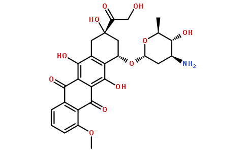 表阿霉素的基本信息