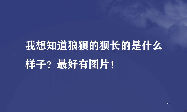 我想知道狼狈的狈长的是什么样子？最好有图片！