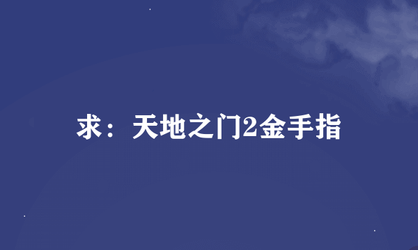 求：天地之门2金手指