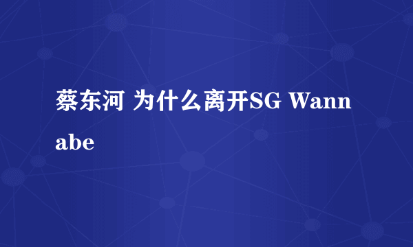 蔡东河 为什么离开SG Wannabe