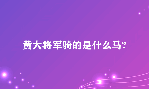 黄大将军骑的是什么马?