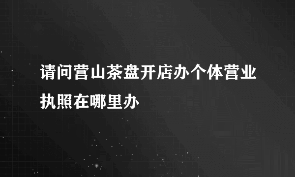 请问营山茶盘开店办个体营业执照在哪里办