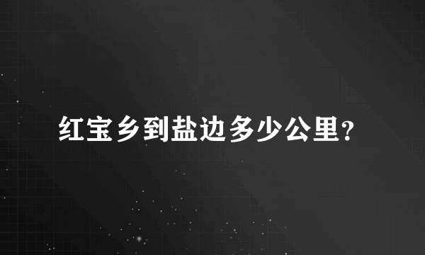 红宝乡到盐边多少公里？