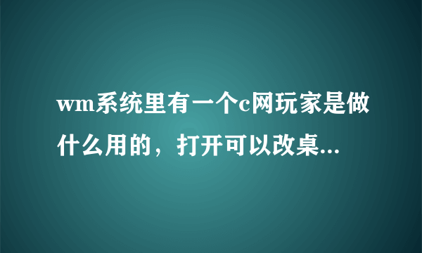 wm系统里有一个c网玩家是做什么用的，打开可以改桌面，但是不能开机启动？