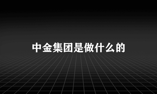 中金集团是做什么的