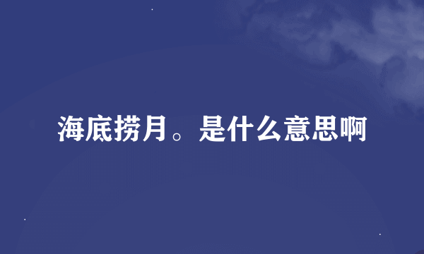 海底捞月。是什么意思啊