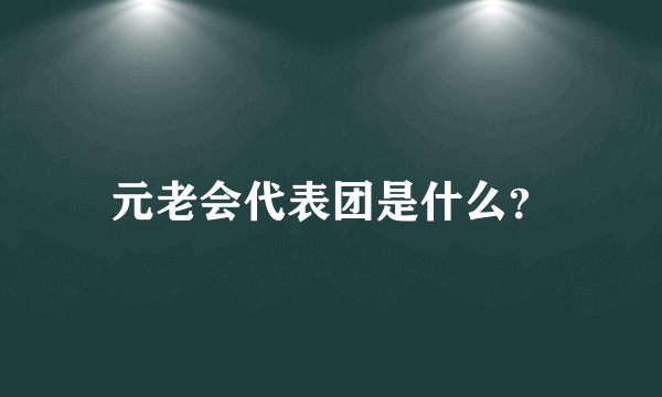 元老会代表团是什么？