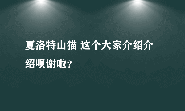 夏洛特山猫 这个大家介绍介绍呗谢啦？