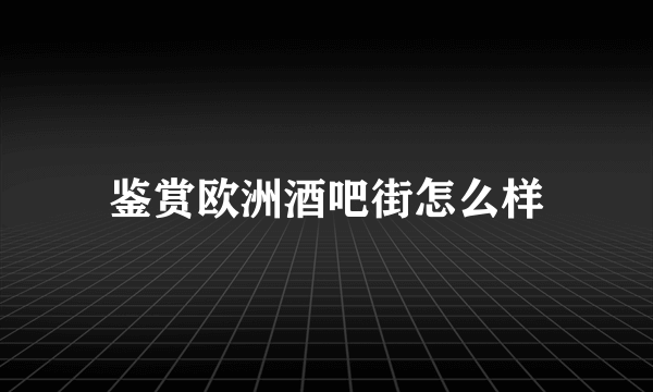 鉴赏欧洲酒吧街怎么样