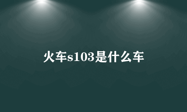 火车s103是什么车