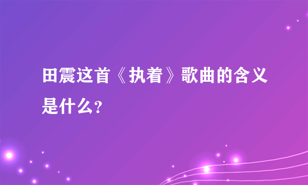 田震这首《执着》歌曲的含义是什么？