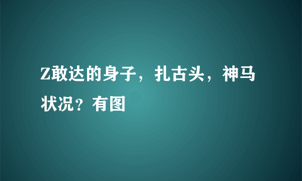 Z敢达的身子，扎古头，神马状况？有图