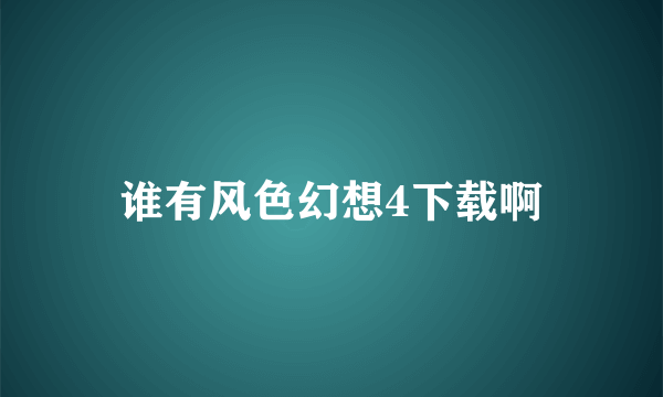 谁有风色幻想4下载啊