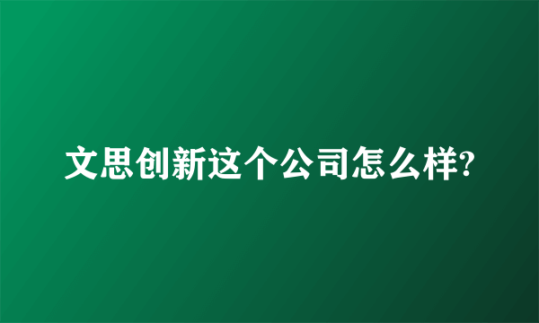 文思创新这个公司怎么样?