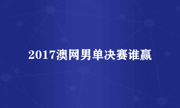 2017澳网男单决赛谁赢