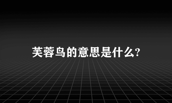 芙蓉鸟的意思是什么?