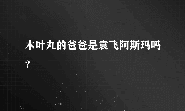 木叶丸的爸爸是袁飞阿斯玛吗？