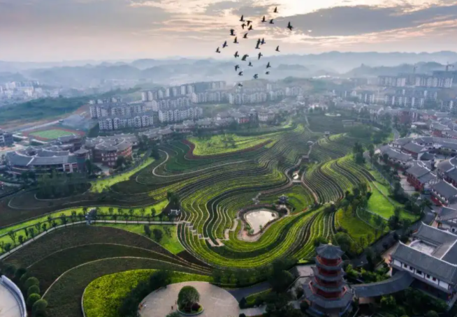 贵州毕节十大旅游景点