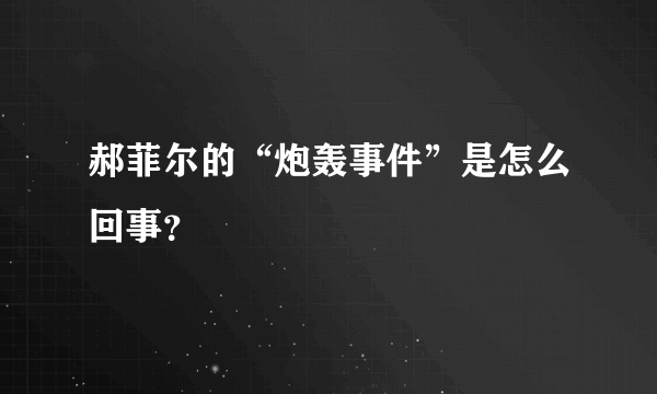 郝菲尔的“炮轰事件”是怎么回事？