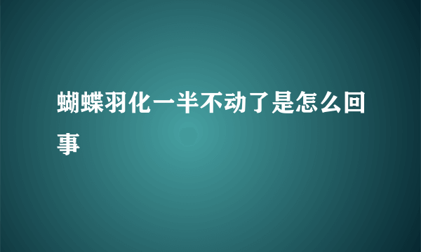 蝴蝶羽化一半不动了是怎么回事