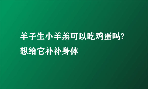 羊子生小羊羔可以吃鸡蛋吗?想给它补补身体