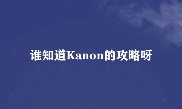 谁知道Kanon的攻略呀