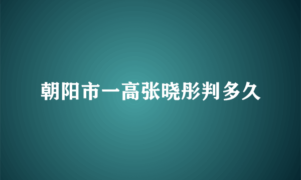 朝阳市一高张晓彤判多久